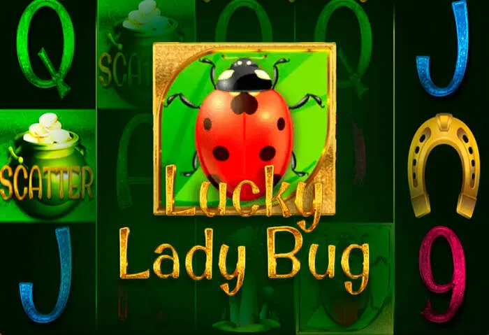 Gioca con l'app Linebet Casino Mobile: accesso facile e veloce a tutti i tuoi giochi.