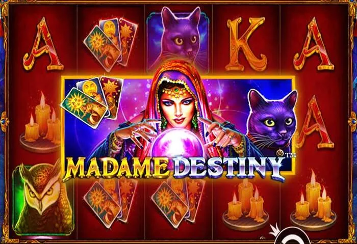 Supporto clienti 24/7, Guida al Login del Casinò Linebet.