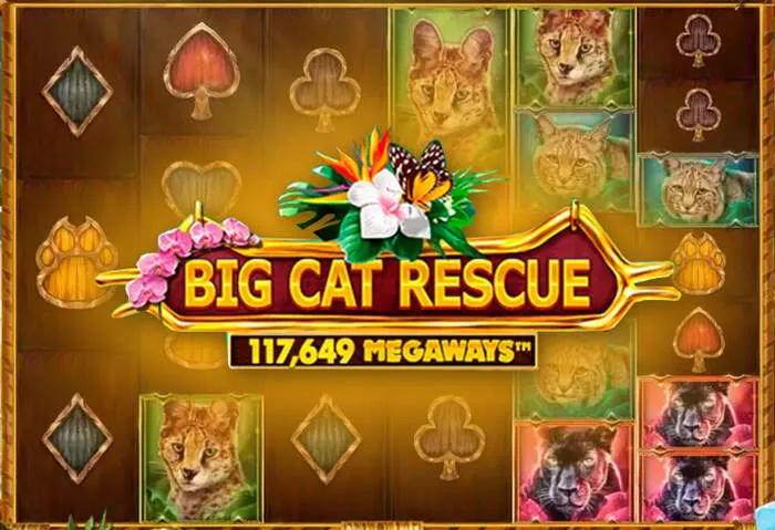 Interface mobile des Linebet Casino Machines à Sous.